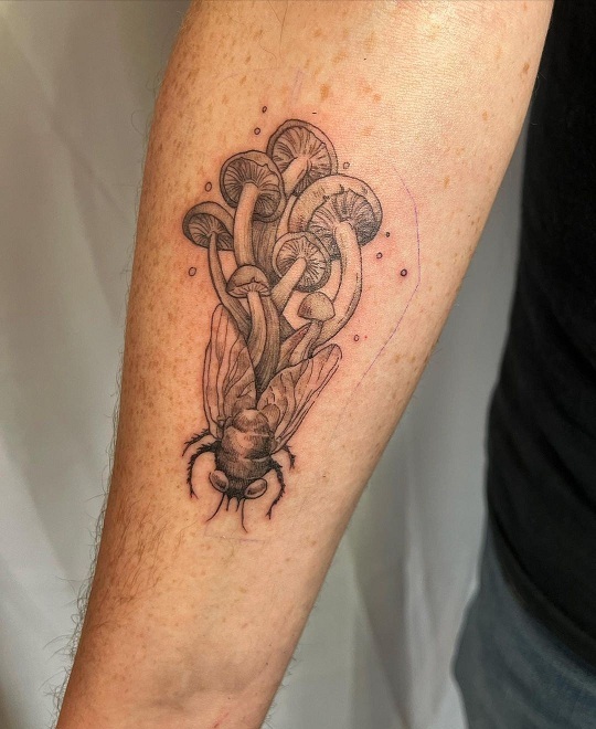 Top 10 Mushroom Tattoo Designs for Nature Lovers