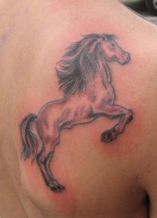 15+ Best Ever Animal Tattoo Designs and Their Meanings