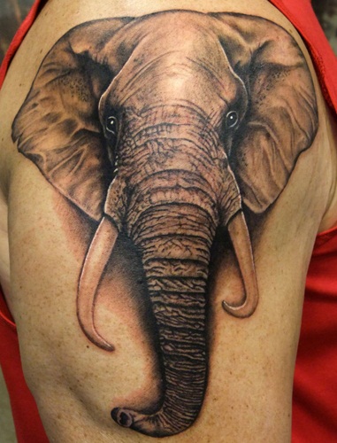 15+ Best Ever Animal Tattoo Designs and Their Meanings