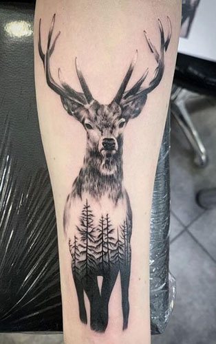15+ Best Ever Animal Tattoo Designs and Their Meanings