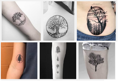 Top 25 Best Tree Tattoo Designs with Meanings | I Fashion Styles