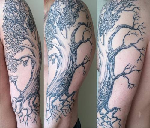 Top 25 Best Tree Tattoo Designs with Meanings | I Fashion Styles