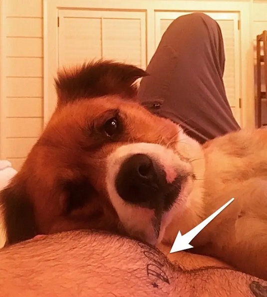 Chris Evans: 9 of His Hidden Tattoos With Meanings