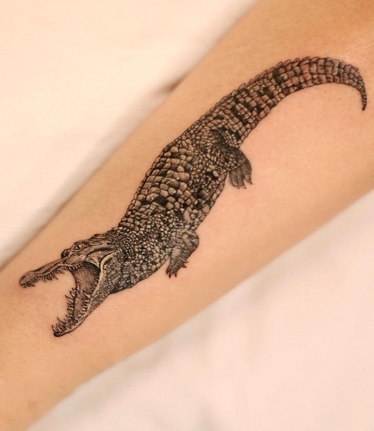 15+ Eye Catching Alligator Tattoo Designs for Powerful Look