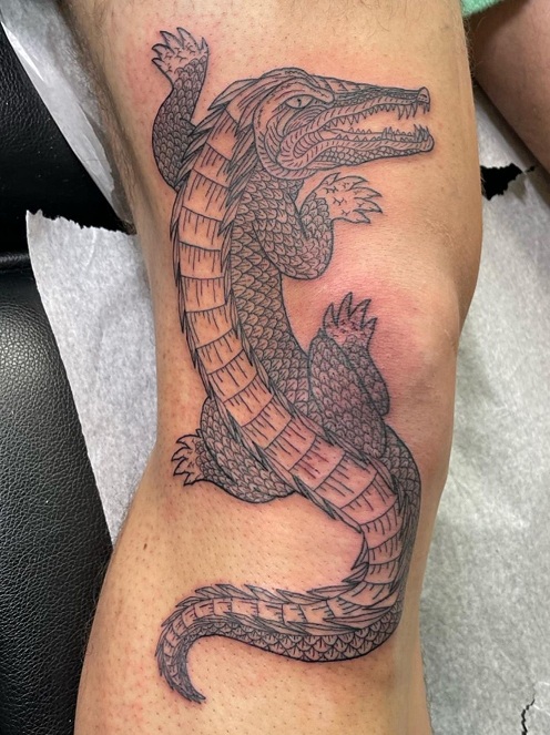15+ Eye Catching Alligator Tattoo Designs for Powerful Look
