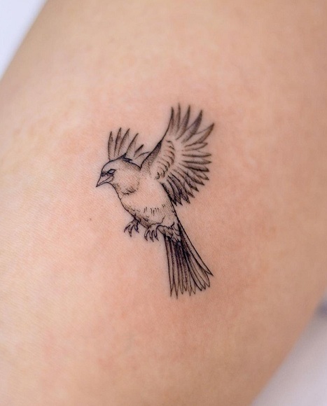 15+ Cardinal Tattoo Designs to Symbolize Love and Hope