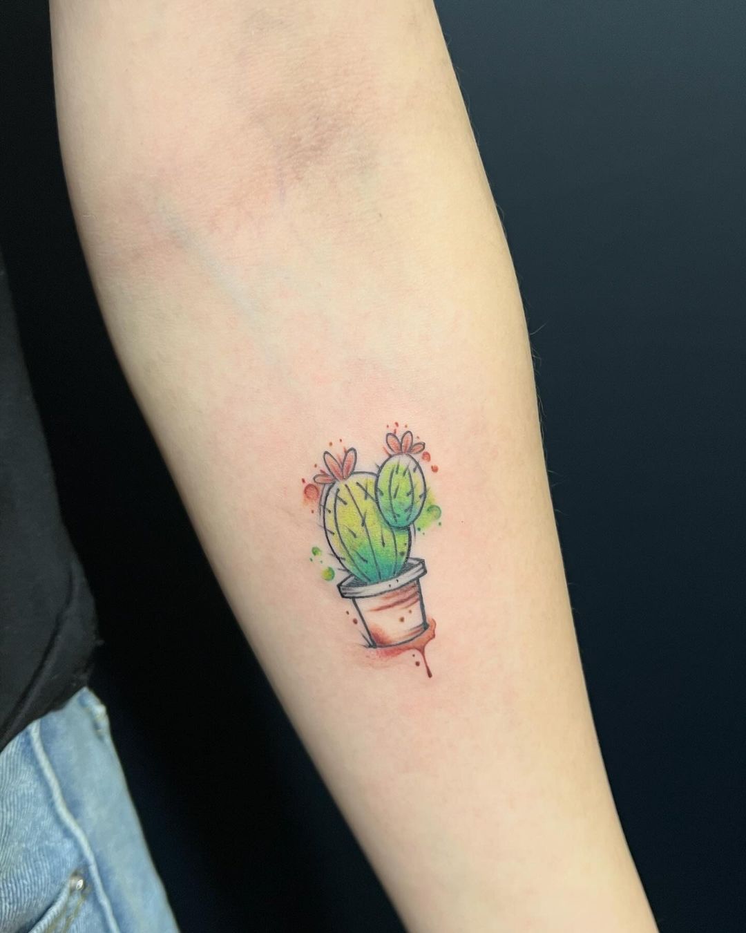 25 Trending Cactus Tattoo Designs Tailored Just for You