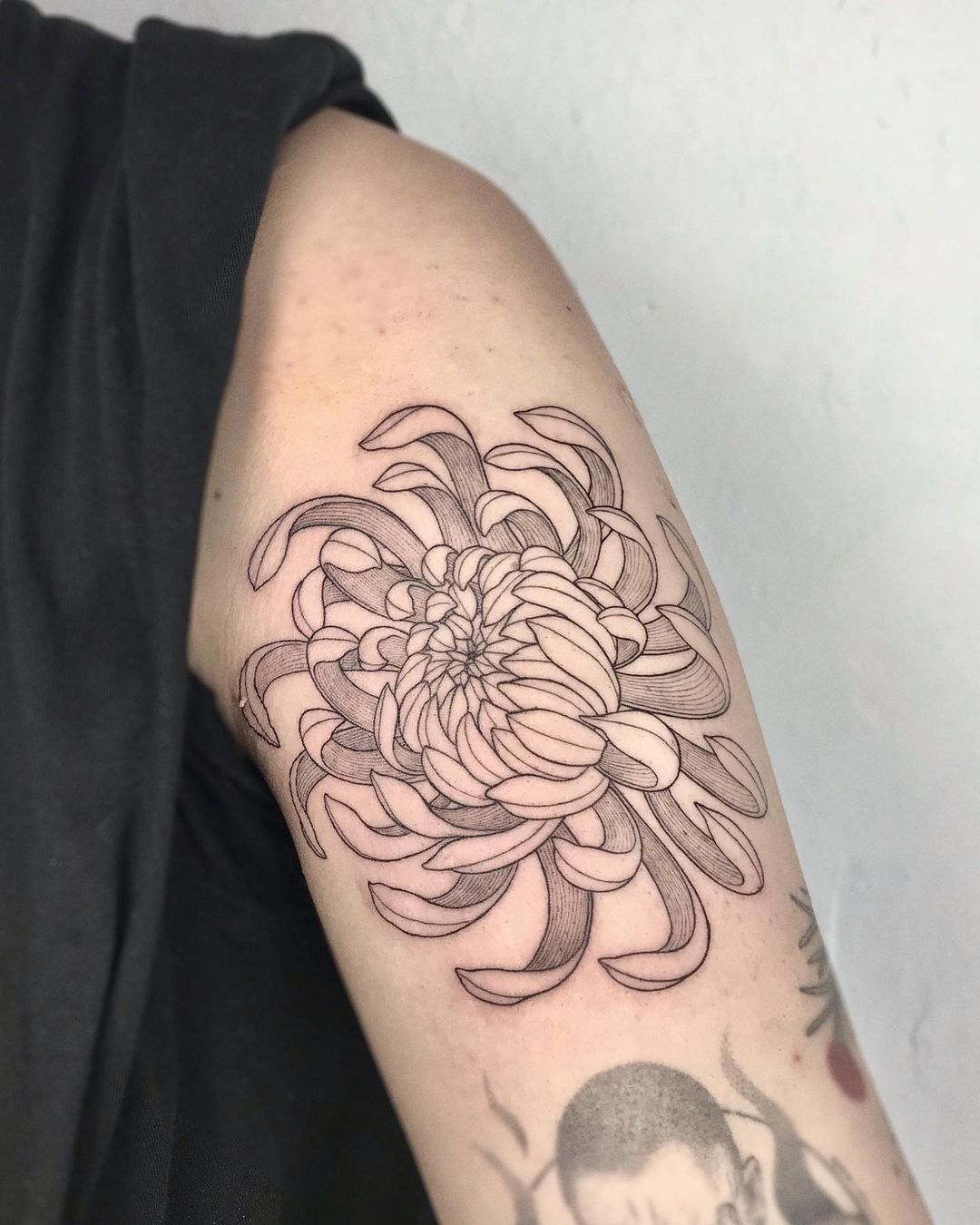 20+ Best Chrysanthemum Flower Tattoo Designs Just For You