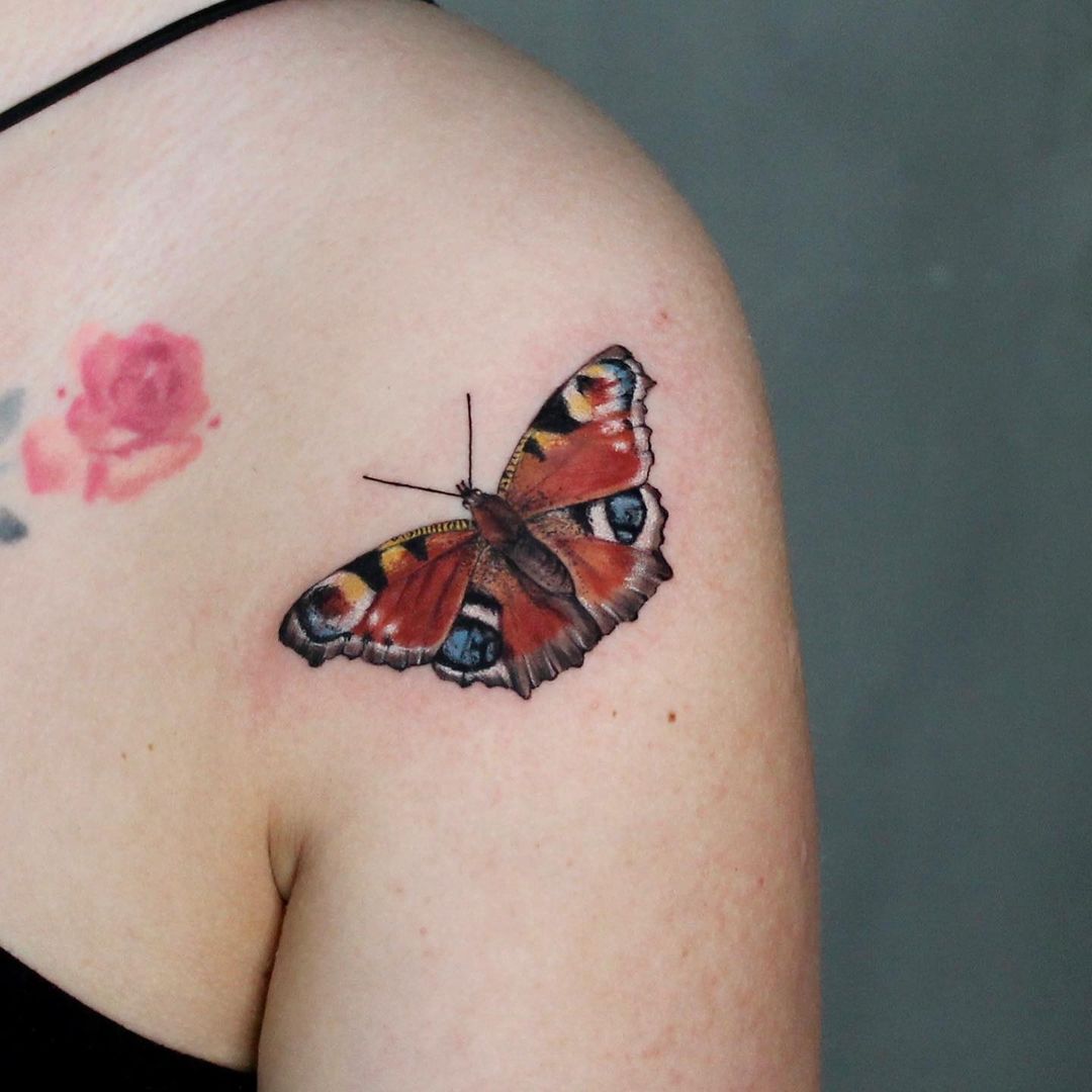 50 Pretty Butterfly Tattoo Designs for Women 2024
