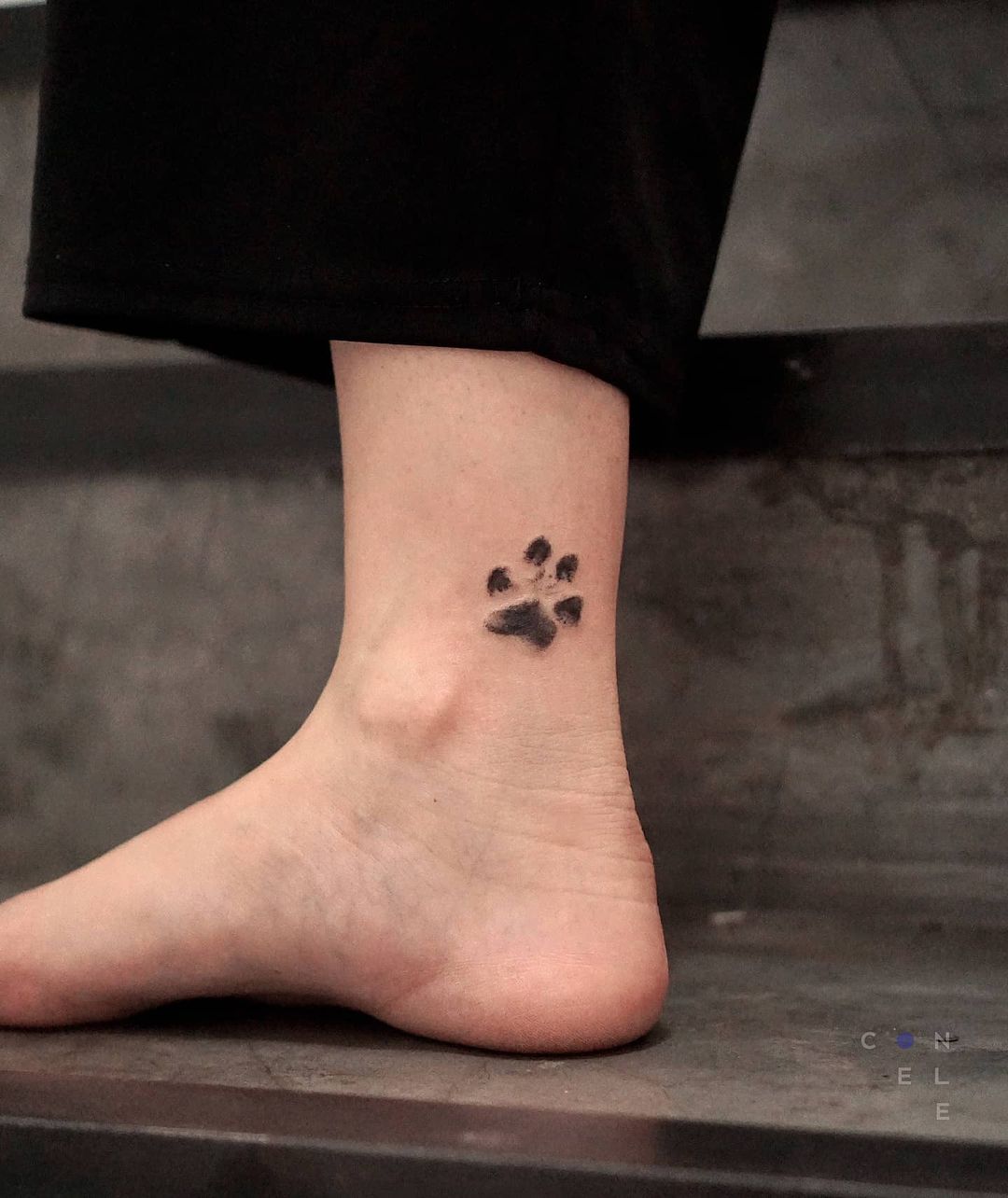 30+ Creative Paw Print Tattoo Designs with Meanings