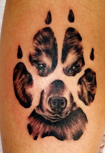30+ Creative Paw Print Tattoo Designs with Meanings