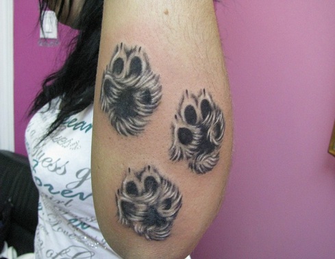 30+ Creative Paw Print Tattoo Designs with Meanings