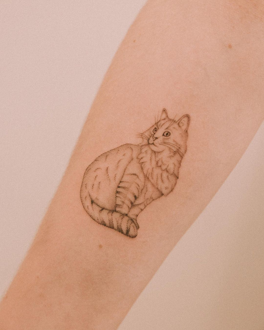 40 Unique Cat Tattoo Designs for Cat Lovers 2024