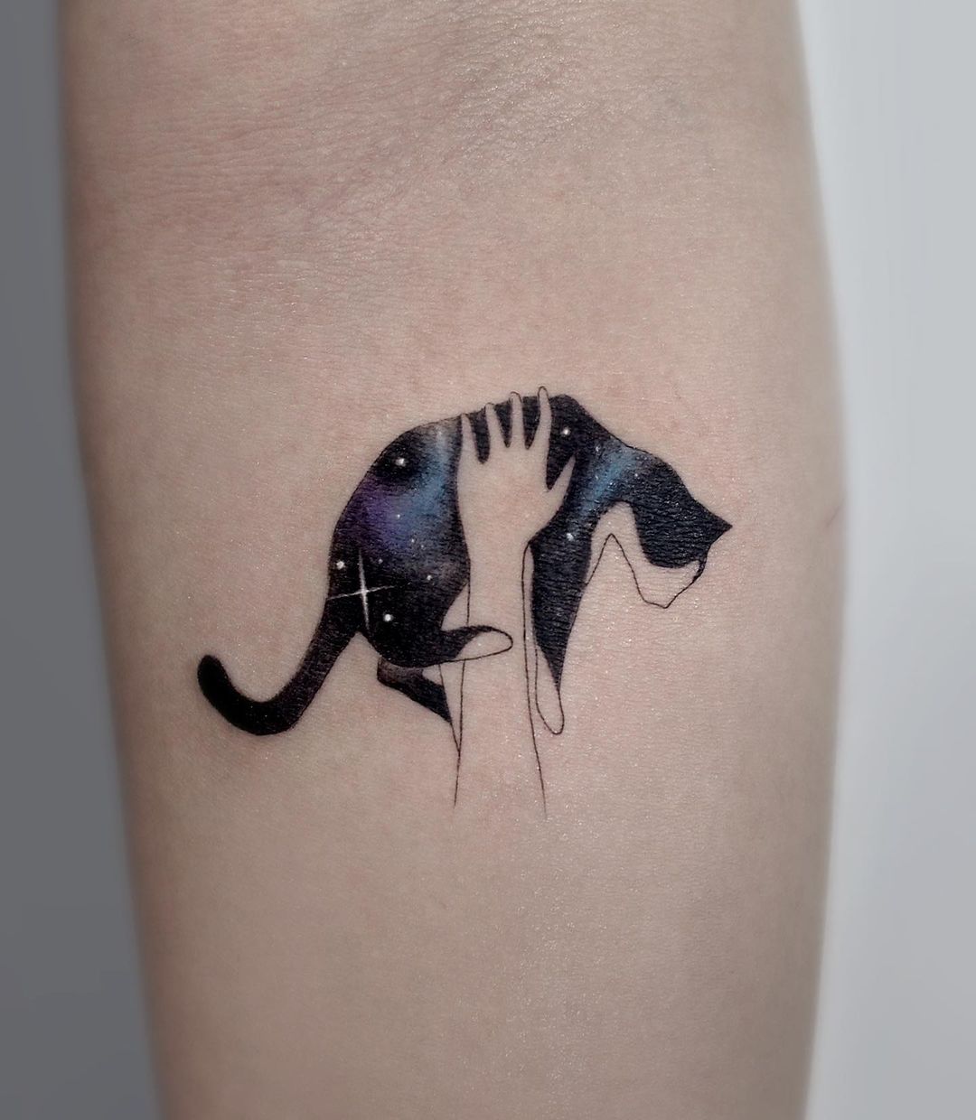40 Unique Cat Tattoo Designs for Cat Lovers 2024