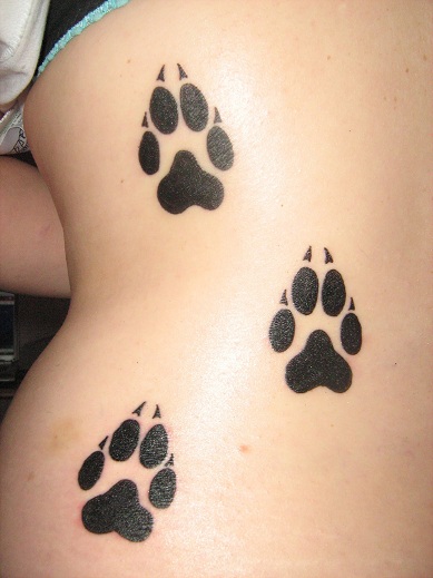 40 Unique Cat Tattoo Designs for Cat Lovers 2024
