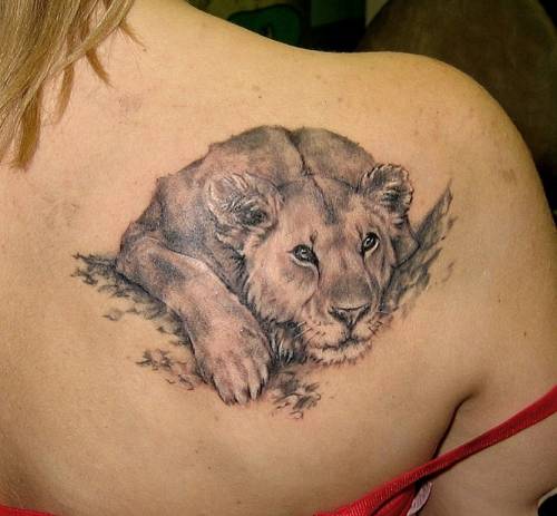 40+ Roaring Lion Tattoo Designs with Symbolism 2024