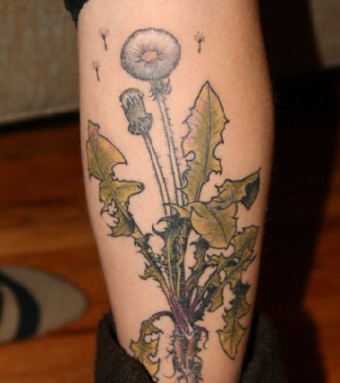 10+ Stunning Dandelion Flower Tattoos and Meanings