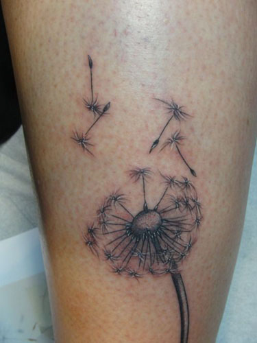 10+ Stunning Dandelion Flower Tattoos and Meanings