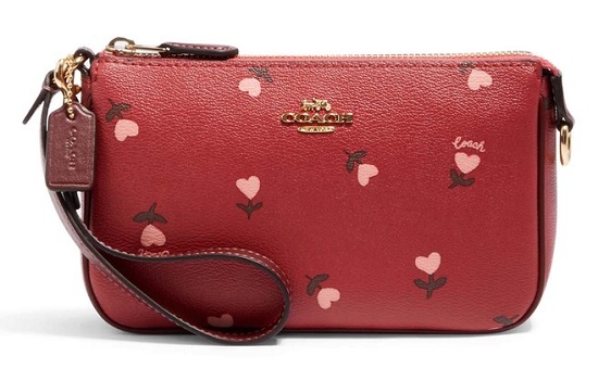 25 Famous Coach Bags for Men and Womens - Trending Models