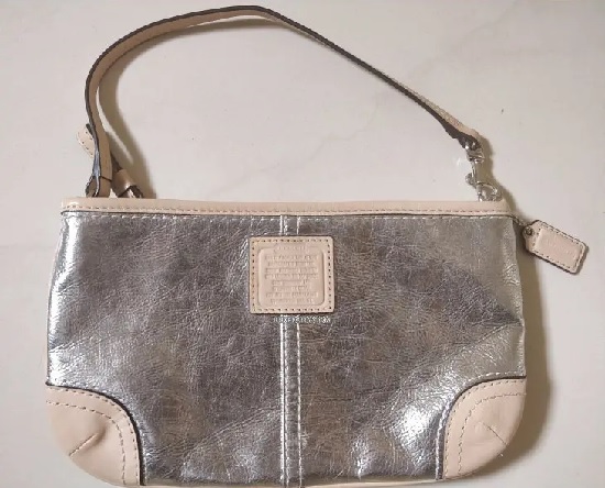 25 Famous Coach Bags for Men and Womens - Trending Models