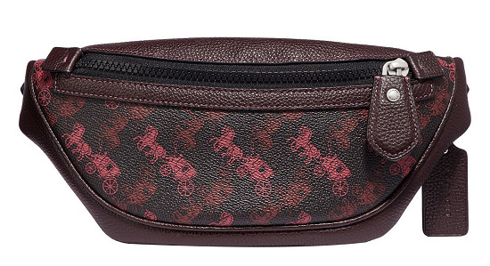 25 Famous Coach Bags for Men and Womens - Trending Models