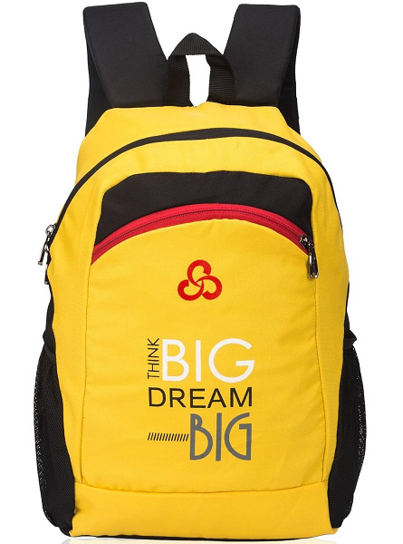 30 Latest Primary and Secondary School Bags Designs in India