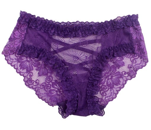 9 Perfect Women&#039;s Sheer Panties in Different Styles | Stylesatlife