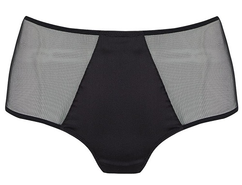 9 Perfect Women&#039;s Sheer Panties in Different Styles | Stylesatlife