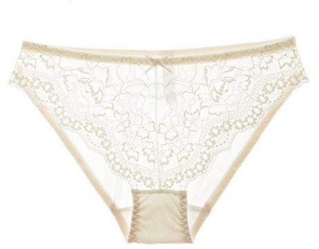 9 Perfect Women&#039;s Sheer Panties in Different Styles | Stylesatlife