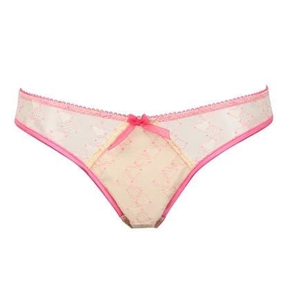 9 Perfect Women&#039;s Sheer Panties in Different Styles | Stylesatlife