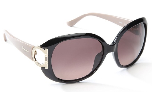 30 Different Types of Womens Sunglasses with Images
