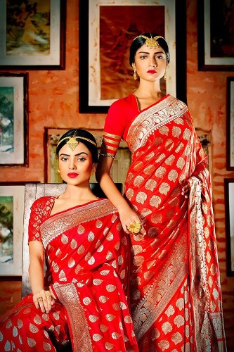 Top 15 Sabyasachi Sarees With Images | I Fashion Styles