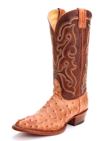 30 Stylish and Different Types of Shoes Designs in Trend