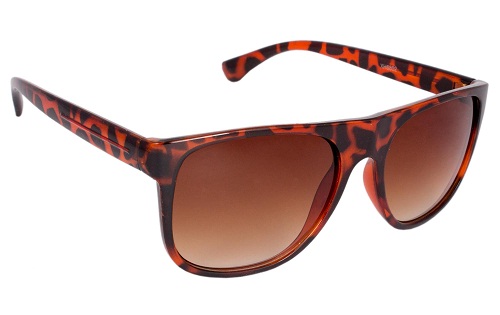 10 Fashionable Wayfarer Sunglasses for Men &amp; Womens
