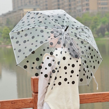 9 Best Folding Transparent Rain Umbrellas for Adults &amp; Kids