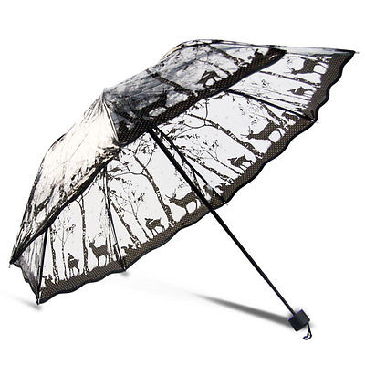 9 Best Folding Transparent Rain Umbrellas for Adults &amp; Kids