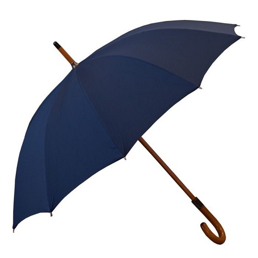 9 Latest Collection of Blue Umbrellas with Images | I Fashion Styles