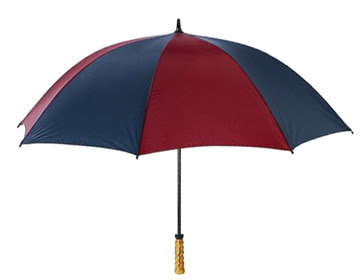 9 Latest Collection of Blue Umbrellas with Images | I Fashion Styles