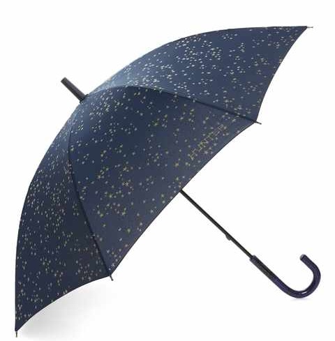 9 Best Designer Umbrellas for Special Occasions