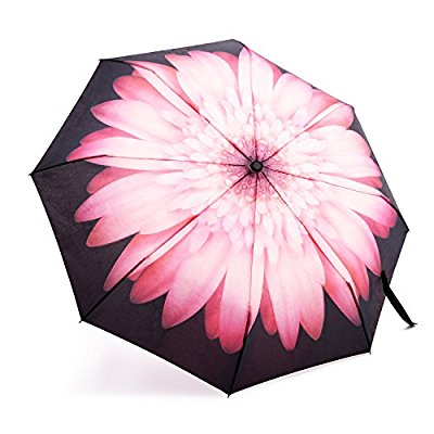 9 Best Windproof Umbrellas With Pictures | I Fashion Styles