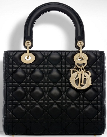 9 Best Christian Dior Bags in Different Sizes and Models