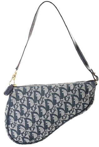 9 Best Christian Dior Bags in Different Sizes and Models