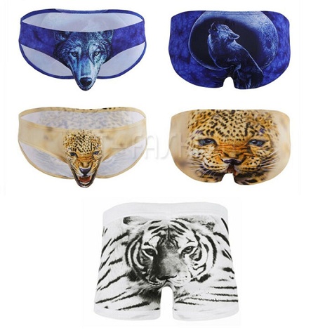 15 Different Types of Panties for Men with Names and Images