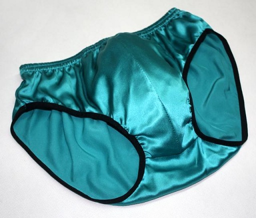 15 Different Types of Panties for Men with Names and Images