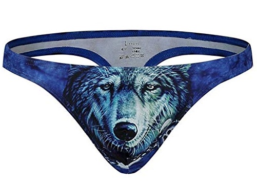 15 Different Types of Panties for Men with Names and Images