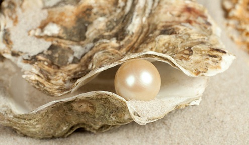 What is Pearl and How it Forms?- Real Pearl Types in India | I Fashion Styles