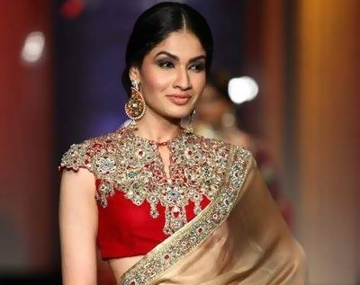Top 15 Trendy Pattu Saree Blouse Designs Catalogue