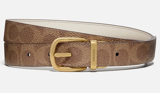 30 Different Types of Leather Belts for Men and Women