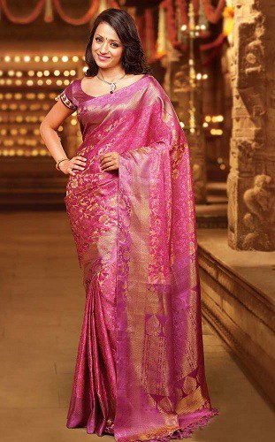 Top 9 Unforgettable Looks of Actress Trisha in Saree