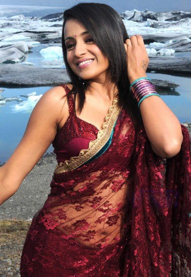 Top 9 Unforgettable Looks of Actress Trisha in Saree